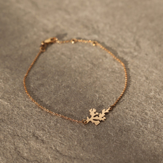 Cadou | Bijuterii Aur| Bijuterii Premium| Bijuterii Exclusiviste| Colier Aur| Gold Jewelry |Exquisite Jewellery| Cadou femei| Gold Necklace| Aur Roz| Rose Gold| Spic de Grau| Aur Alb| Aur Galben| Bijuterii Elegante| Coral| Bijuterii inspirate din natura| Nature Inspired Concept