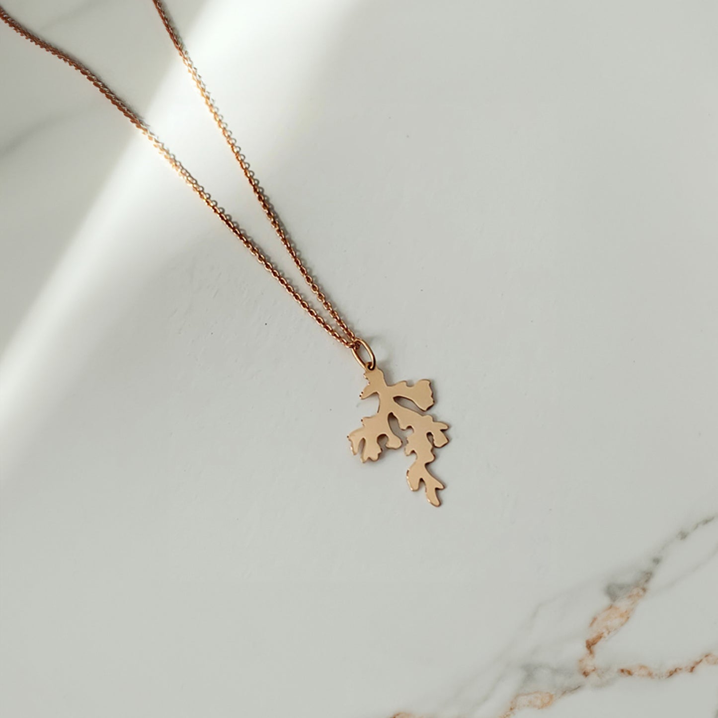 Cadou | Bijuterii Aur| Bijuterii Premium| Bijuterii Exclusiviste| Colier Aur| Gold Jewelry |Exquisite Jewellery| Cadou femei| Gold Necklace| Aur Roz| Rose Gold| Spic de Grau| Aur Alb| Aur Galben| Bijuterii Elegante| Coral| Bijuterii inspirate din natura| Nature Inspired Concept