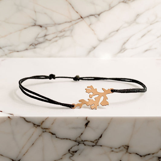 Cadou | Bijuterii Aur| Bijuterii Premium| Bijuterii Exclusiviste| Colier Aur| Gold Jewelry |Exquisite Jewellery| Cadou femei| Gold Necklace| Aur Roz| Rose Gold| Spic de Grau| Aur Alb| Aur Galben| Bijuterii Elegante| Coral| Bijuterii inspirate din natura| Nature Inspired Concept