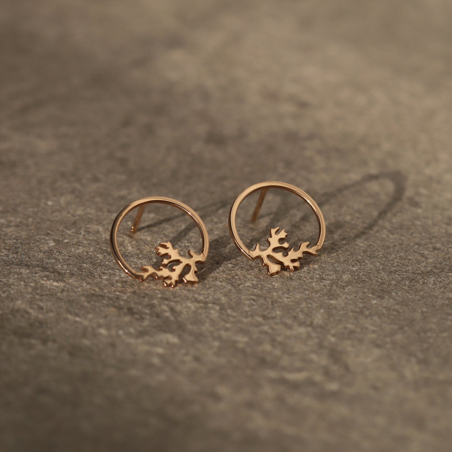Cadou | Bijuterii Aur| Bijuterii Premium| Bijuterii Exclusiviste| Colier Aur| Gold Jewelry |Exquisite Jewellery| Cadou femei| Gold Necklace| Aur Roz| Rose Gold| Spic de Grau| Aur Alb| Aur Galben| Bijuterii Elegante| Coral| Bijuterii inspirate din natura| Nature Inspired Concept