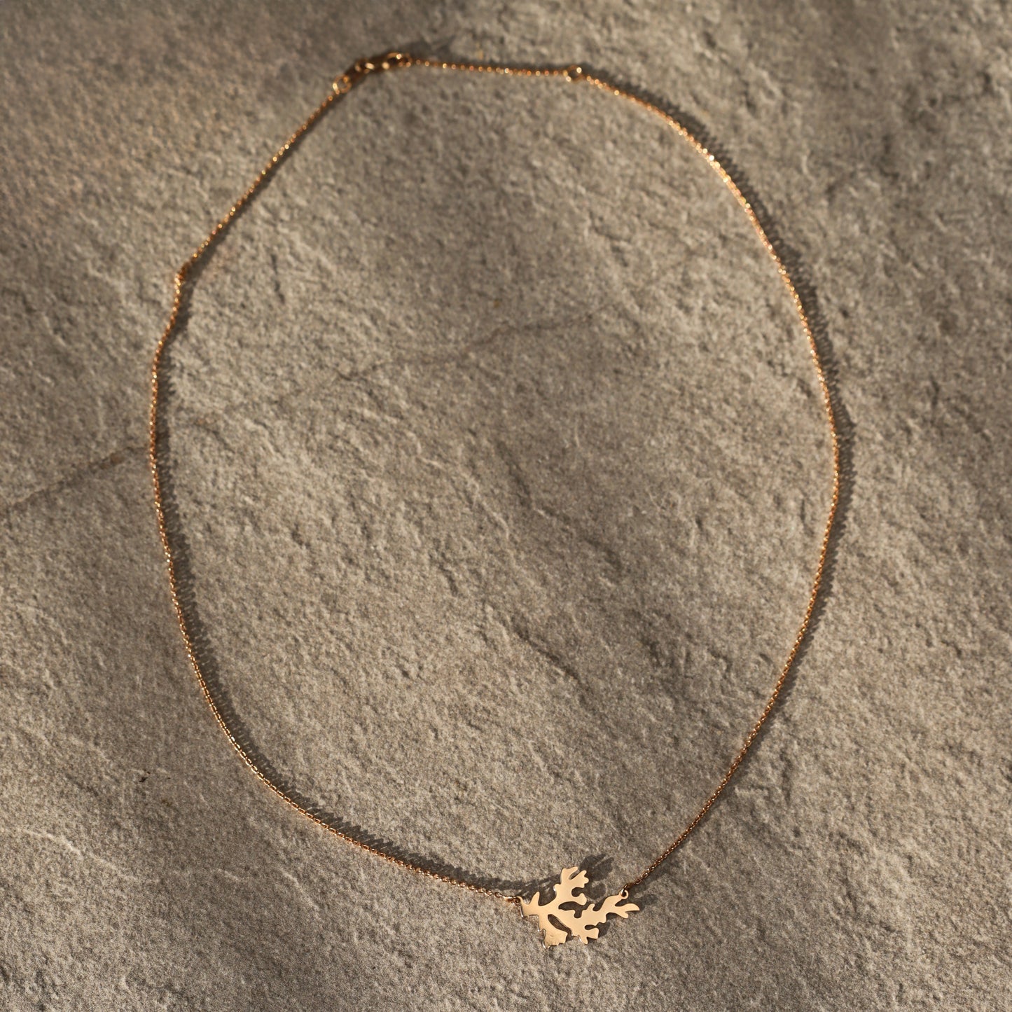 Cadou | Bijuterii Aur| Bijuterii Premium| Bijuterii Exclusiviste| Colier Aur| Gold Jewelry |Exquisite Jewellery| Cadou femei| Gold Necklace| Aur Roz| Rose Gold| Spic de Grau| Aur Alb| Aur Galben| Bijuterii Elegante| Coral| Bijuterii inspirate din natura| Nature Inspired Concept