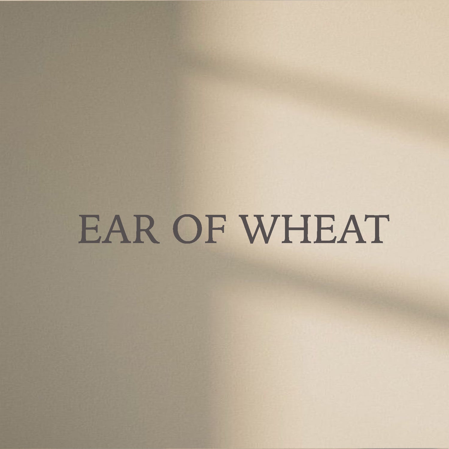 Ear of Wheat