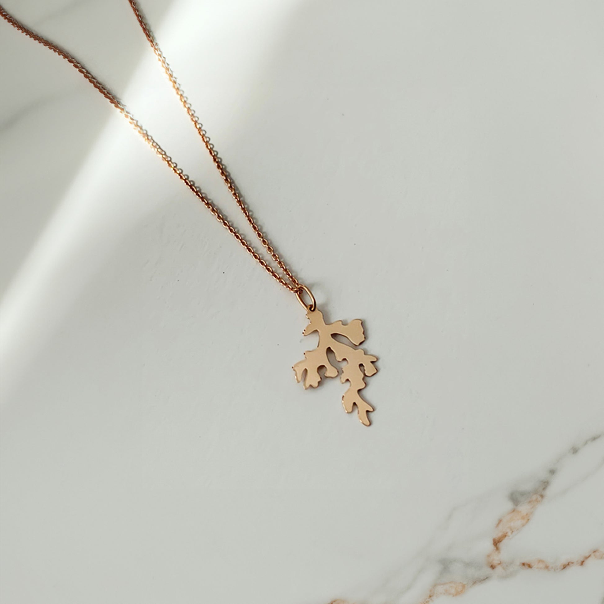 Cadou | Bijuterii Aur| Bijuterii Premium| Bijuterii Exclusiviste| Colier Aur| Gold Jewelry |Exquisite Jewellery| Cadou femei| Gold Necklace| Aur Roz| Rose Gold| Spic de Grau| Aur Alb| Aur Galben| Bijuterii Elegante| Coral| Bijuterii inspirate din natura| Nature Inspired Concept