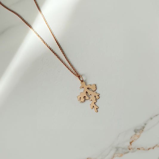 Cadou | Bijuterii Aur| Bijuterii Premium| Bijuterii Exclusiviste| Colier Aur| Gold Jewelry |Exquisite Jewellery| Cadou femei| Gold Necklace| Aur Roz| Rose Gold| Spic de Grau| Aur Alb| Aur Galben| Bijuterii Elegante| Coral| Bijuterii inspirate din natura| Nature Inspired Concept