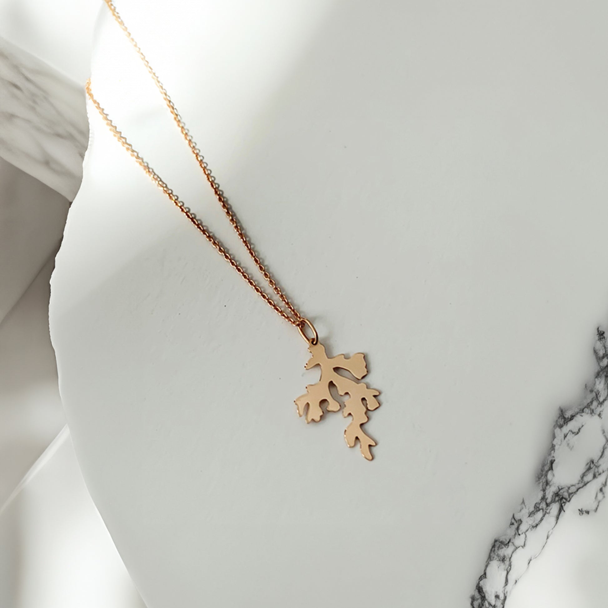 Cadou | Bijuterii Aur| Bijuterii Premium| Bijuterii Exclusiviste| Colier Aur| Gold Jewelry |Exquisite Jewellery| Cadou femei| Gold Necklace| Aur Roz| Rose Gold| Spic de Grau| Aur Alb| Aur Galben| Bijuterii Elegante| Coral| Bijuterii inspirate din natura| Nature Inspired Concept