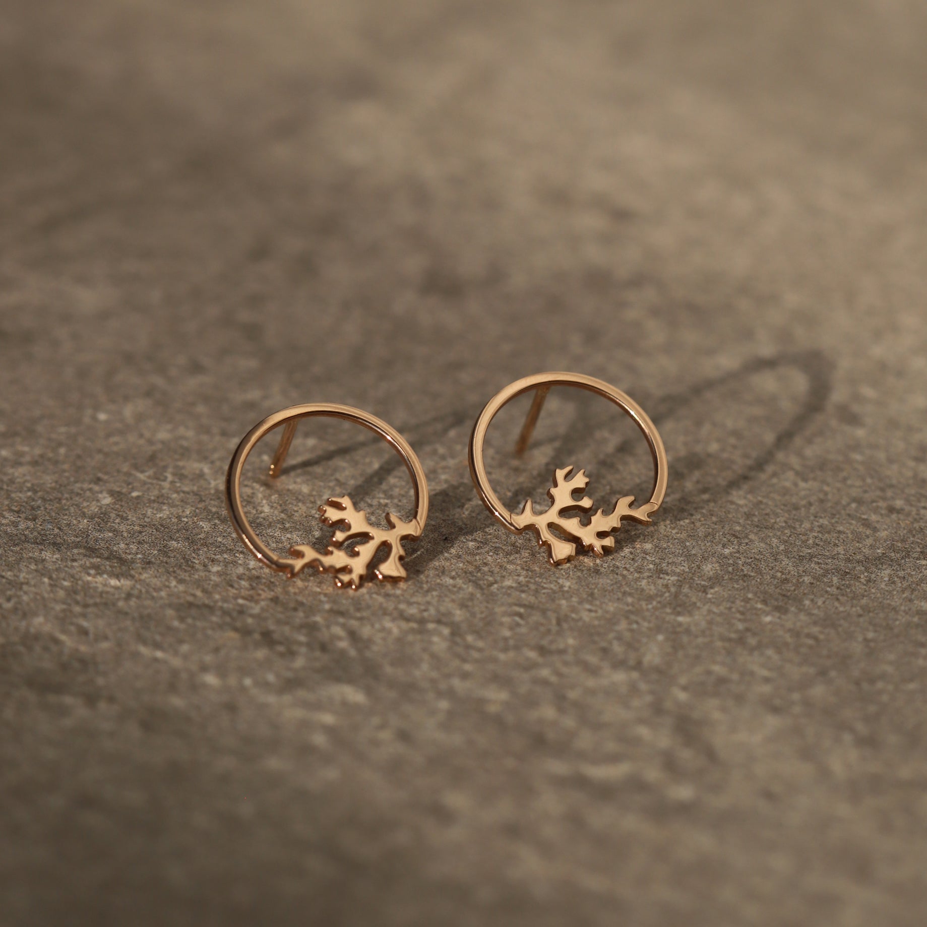 Cadou | Bijuterii Aur| Bijuterii Premium| Bijuterii Exclusiviste| Colier Aur| Gold Jewelry |Exquisite Jewellery| Cadou femei| Gold Necklace| Aur Roz| Rose Gold| Spic de Grau| Aur Alb| Aur Galben| Bijuterii Elegante| Coral| Bijuterii inspirate din natura| Nature Inspired Concept