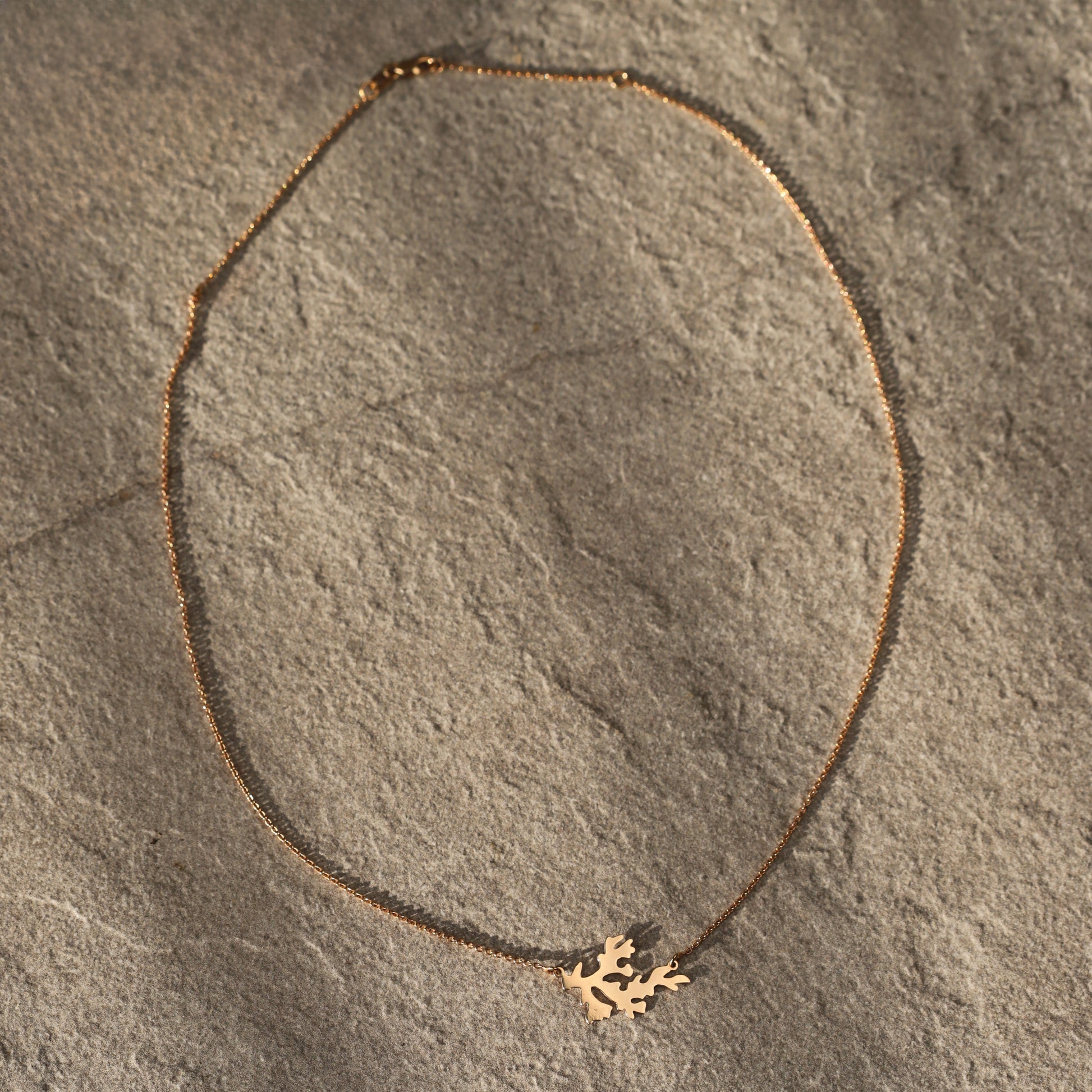 Cadou | Bijuterii Aur| Bijuterii Premium| Bijuterii Exclusiviste| Colier Aur| Gold Jewelry |Exquisite Jewellery| Cadou femei| Gold Necklace| Aur Roz| Rose Gold| Spic de Grau| Aur Alb| Aur Galben| Bijuterii Elegante| Coral| Bijuterii inspirate din natura| Nature Inspired Concept